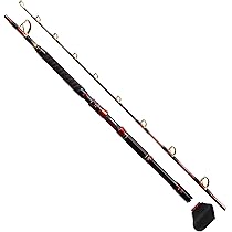 Amazon | シマノ(SHIMANO) 船竿 24チェルマーレ 泳がせ HH170 | シマノ