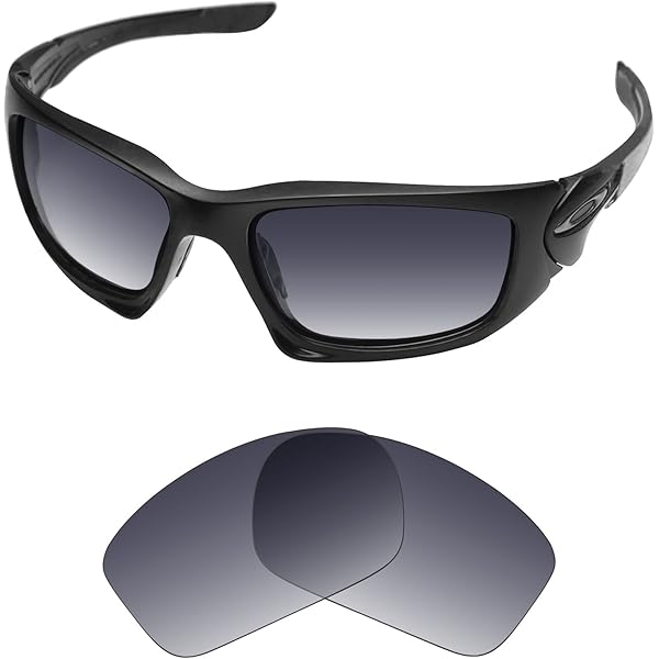 Amazon | Tintartパフォーマンスレンズ Oakley Frogskins 用交換