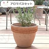 ハーブ栽培セット （ ペパーミント ＆ スペアミント ）【 アロマバス 用】