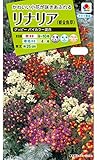タキイ種苗 リナリアグッピーバイカラー混合