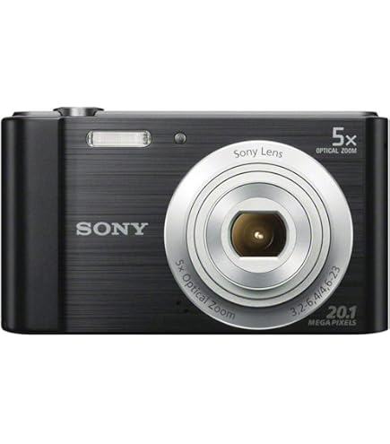 Sony Cyber-shot DSC-W810 Digital Camera - International