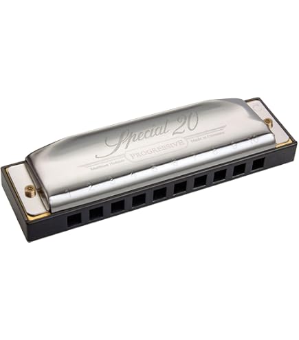 Amazon | HOHNER 560/20 スペシャル 20 key：A ハーモニカ