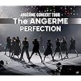 アンジュルム CONCERT TOUR -The ANGERME- PERFECTION(特典なし) [Blu-ray]