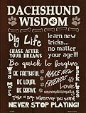 Smart Blonde P-1476 Dachshund Wisdom Metal Novelty44; Parking Sign