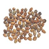 大地農園 天然素材 ミニツガ(50g入り) N DO22720-000