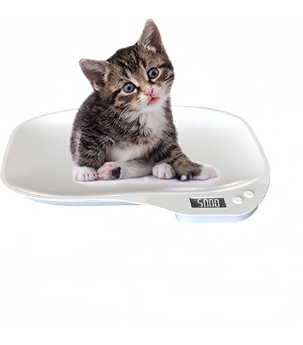 Amazon.co.jp: Oapety ペットゲート ドア付き 置くだけ 犬 ゲート