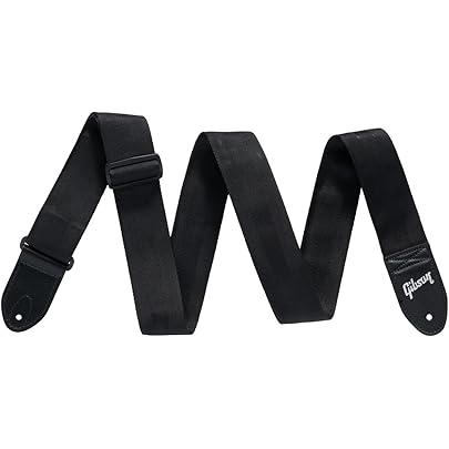 Amazon.co.jp: ギブソン Gibson ASVS-ORL The Orange Lily ギター