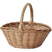 61V87Nsk7qL._AC_UL210_SR210,