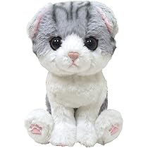 Amazon.co.jp: サンレモン(Sun Lemon) キトン スコティッシュ