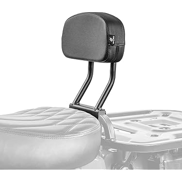 Amazon.co.jp 最新リリース: バイク用バックレスト の新着ランキングです。