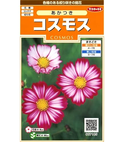 コスモスの種 イエローキャンパス 1dl （ 秋桜 ） : 菜園くらぶ Yahoo