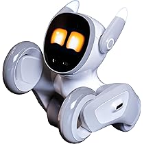 61V9V4lwSsL._AC_UL210_SR210,