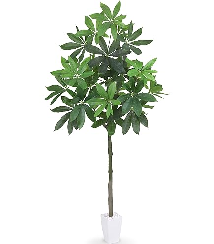 Amazon｜Nearly Natural 人工樹木 金のなる木 ホワイトプランター付