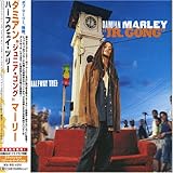 �n�[�t�E�F�C�E�c���[