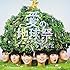 チームしゃちほこ「愛の地球祭(初回限定盤)」