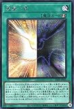 遊戯王カード 表裏一体(シークレットレア) PREMIUM PACK 2023（23PP） | 速攻魔法 シークレット レア