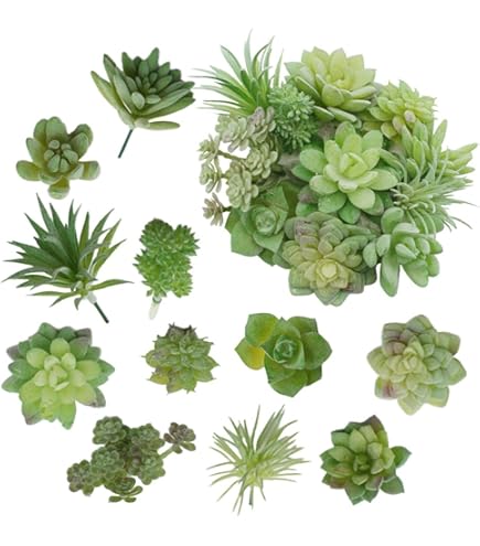 フェイク　多肉植物 Amazon｜Bacucine 人工多肉植物 詰め合わせ 鉢なし 多肉植物