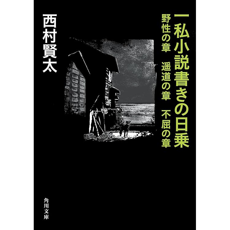 Amazon.co.jp: 一私小説書きの日乗 新起の章 堅忍の章 這進の章 (角川