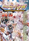 みんなの甲子園2013 ~第85回記念選抜高等学校野球大会全記録~ [DVD]