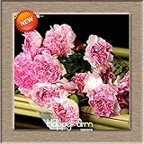 New Arrival16 Colors Carnation Seeds Balcony Potted Courtyard Garden Plants Dianthus Caryophyllus Fl