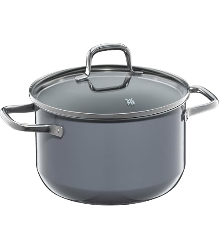 WMF FUSIONTEC 24CM HIGH CASSEROLE ROSE QUARTZ 0514495290 : Amazon