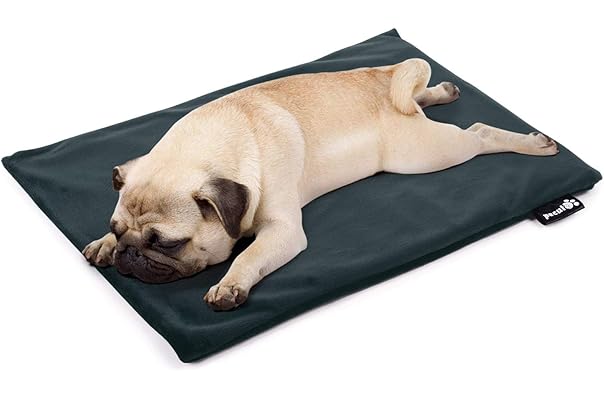 市場 直径40cm 小動物 Usb充電 快適 定温28 5 暖かい 加熱マット ペットプラッシュ加熱パッド マット 電熱ヒータークッション