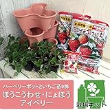 いちご栽培セット：ハーベリーポットといちご苗3種（宝交早生・女峰・アイベリー）[狭い場所での栽培に] ノーブランド品