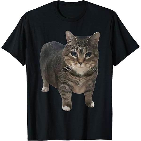 Amazon | Oiia Oiia 猫 面白い 回転する猫 ミーム Tシャツ | T