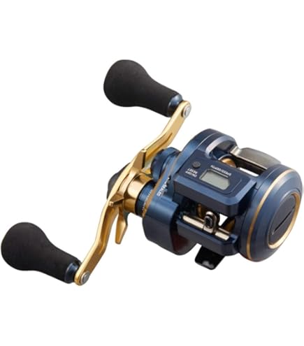Daiwa Seaborg Electric Reel 20 300MJL (2020 Model) : Amazon.sg