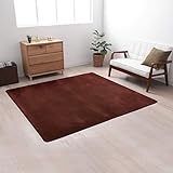 アイリスプラザ 洗えるラグ 防ダニ フランネル ラグカーペット 185×185cm 心地良いさらフワ触感 滑り止め付き ブラウン