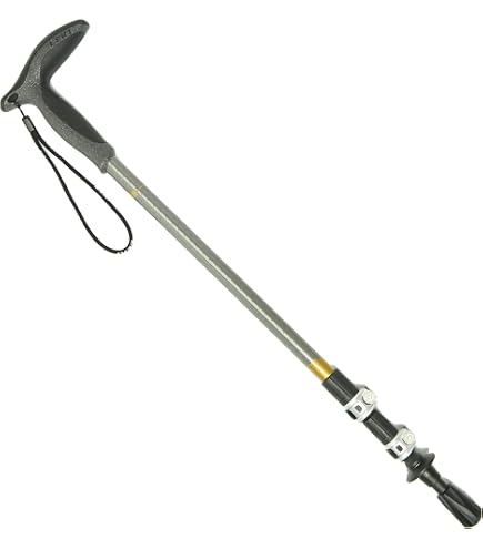 LEKI Wanderfreund High Five Single Staff - 63-120cm | Aluminum