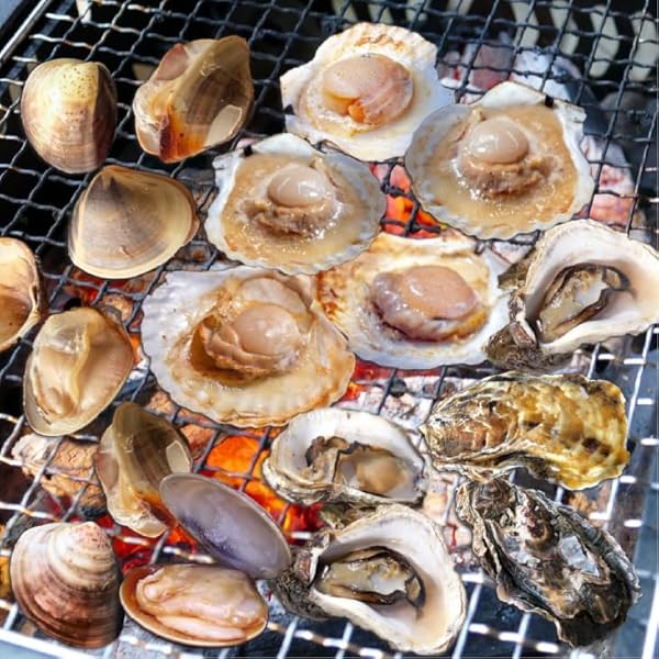 多様な貝のセット 5種類 多様な貝のセット 5種類 楽天市場】貝 セットの通販