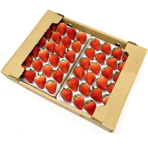 Amazon.co.jp: 業務用 国産 とちおとめ ( いちご ) ゼリー 1kg