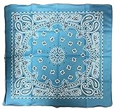 [RR] バンダナ ペイズリー柄 53×53cm (ライトブルー)