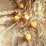 造花 インテリア　人工果物の実 人工観葉植物 モモ造花 1本　枯れない 手作り リング 結婚式 ホーム 喫茶店 飾りフラワー　お祝いに 玄関やトイレ 部屋 祝日 (イエロー)