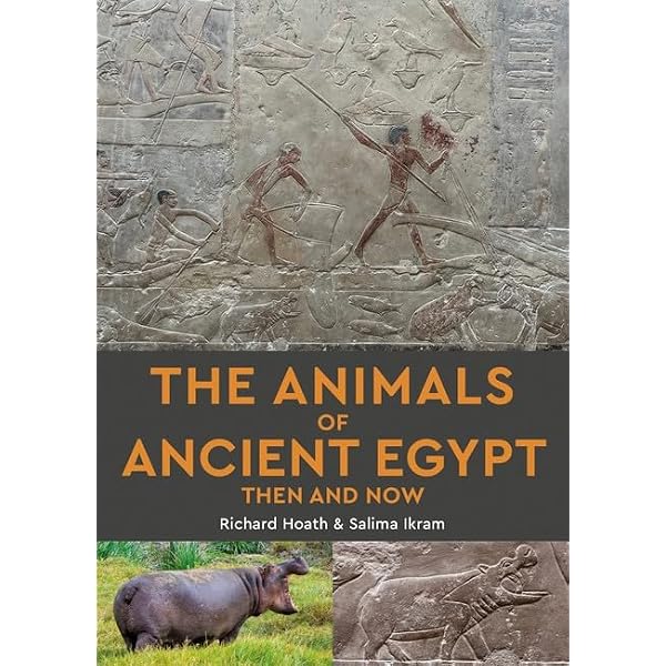 EGYPT THEN AND NOW／エジプト 写真集 洋書 ゜+ 1925年 エジプト風表紙の