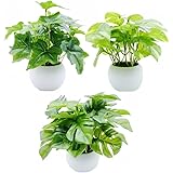 MedianField 【 観葉植物 光触媒 ミニ 鉢植え 3個 セット 】 消臭 ＆ 抗菌 フェイクグリーン 造花 鉢 人工観葉植物 おしゃれ インテリア 雑貨 人工 フェイク グリーン 卓上 緑 植物 鉢植え 葉 小さい ギフト (光触媒 モンス