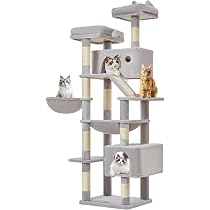 Amazon | Taoqimiao キャットタワー 高さ180cm 大型猫用 多頭飼い対応