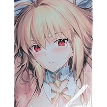 Amazon | コミケ102 GHK FateGrandOrder アルクェイド抱き枕カバー 月 
