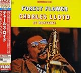 �t�H���X�g�E�t�����[