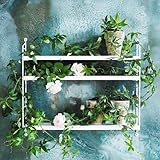 String（ストリング） Pocket（ポケット）ホワイト SP5015-12-12