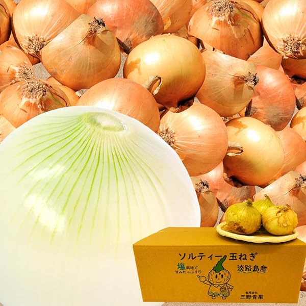 Amazon.co.jp: 北海道産 玉ねぎ L大もしくは2Lサイズ 10kg詰め