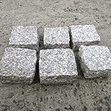 半丁掛 ピンコロ 90×90×45(mm) 20個セット 珊瑚