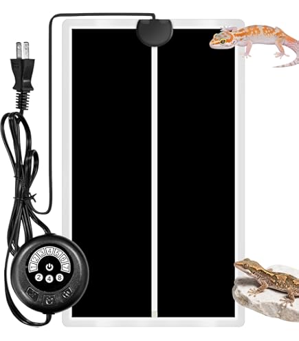 Amazon | ガラスケース&カバーセット 400High | GEX | ふた 通販