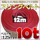 スリングベルト 幅125mm 使用荷重10t 10000kg ベルトスリング 繊維ベルト 吊りベルト クレーンベルト 帯ベルト 吊り上げ 作業用 屋外 建設機械 船舶 運搬作業 ポリエステル素材 土木