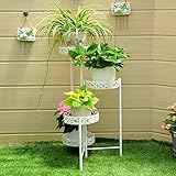 Plant shelf アイロンフラワーポットラック、4ティアプラントディスプレイスタンド盆栽ホルダーホームガーデンパティオインテリア折りたたみ棚はホワイトを保持 Flower racks ( 色 :