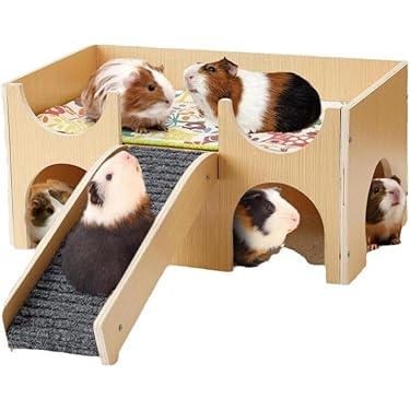 Amazon.co.jp 最新リリース: 小動物用ケージ・アクセサリ の新着