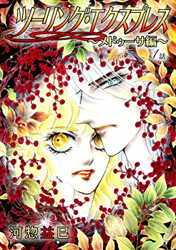 『花丸漫画 ツーリング・エクスプレス～メドゥーサ編～』