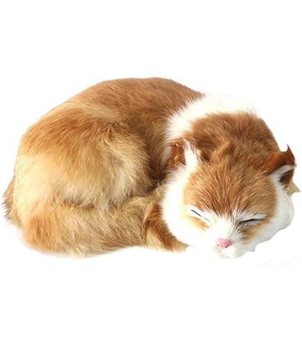 Amazon.co.jp: Somnus258 猫 置物 リアル かわいい 本物そっくり 眠り