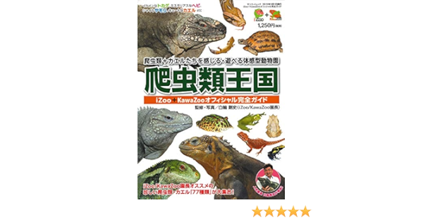 爬虫類王国 Izoo Kawazoo オフィシャル完全ガイド 珍しい トカゲ や ヘビ 爬虫類 サンエイムック 白輪 剛史 本 通販 Amazon
